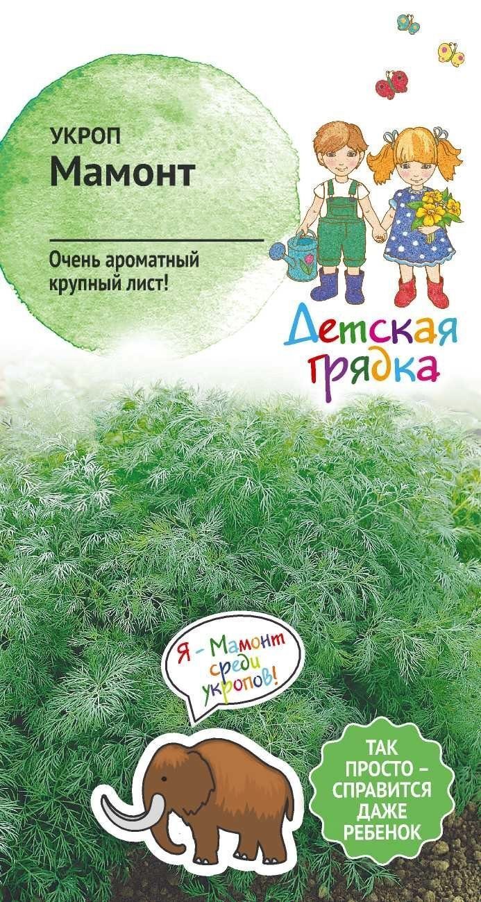 Изображение товара Семена Укроп Мамонт Детская грядка