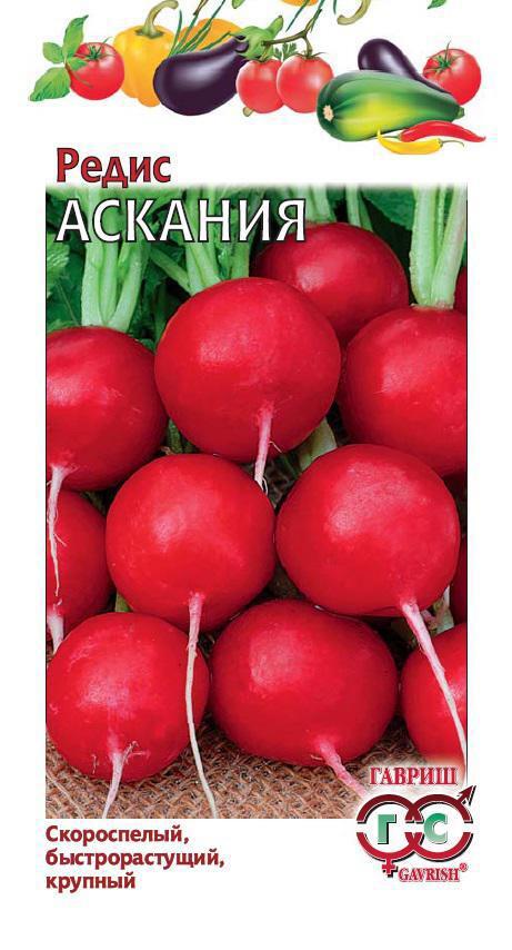 Изображение товара Семена Редис Аскания Изображение товара Семена Редис Аскания