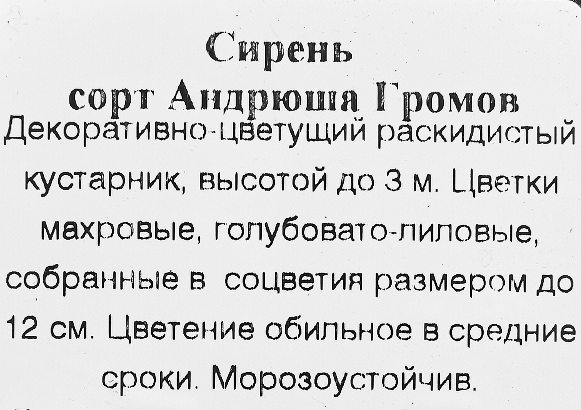 Превью изображения товара