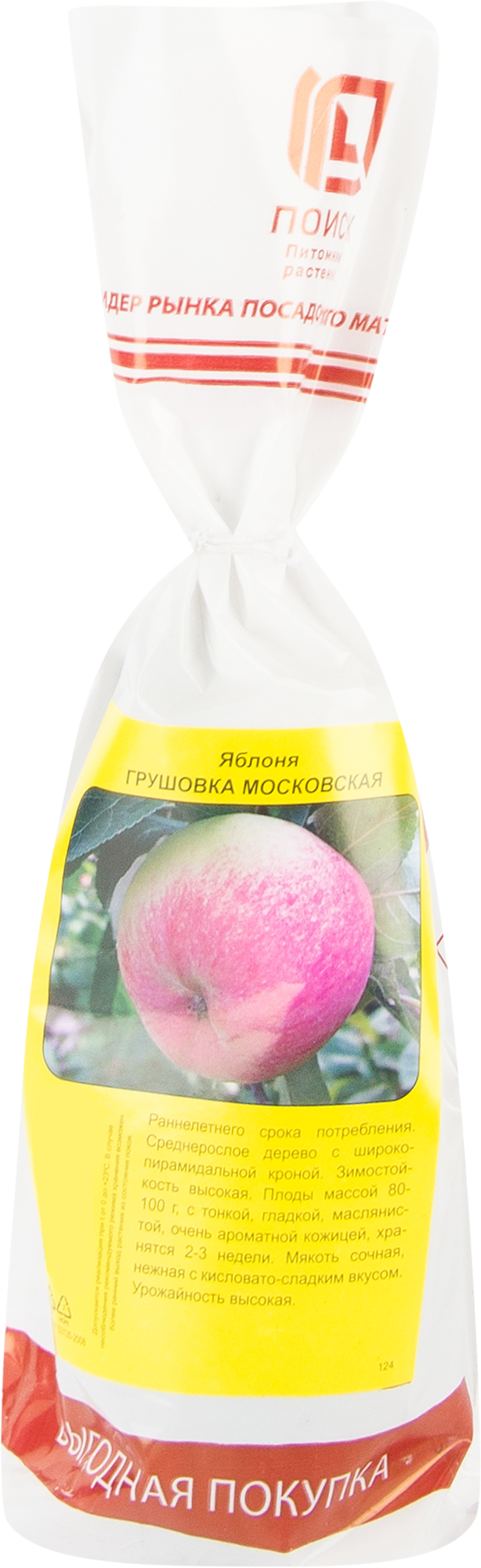Изображение товара Яблоня Грушовка московская h90 см