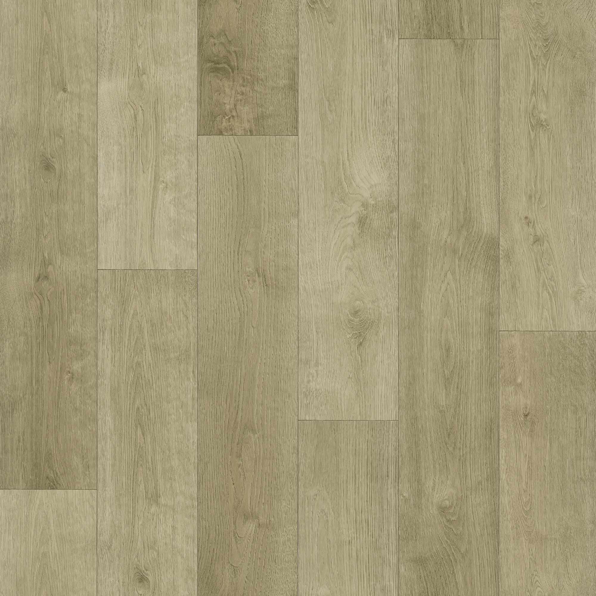 Изображение товара Линолеум Дуб Френсис 31 класс 2.5 м для гостиной