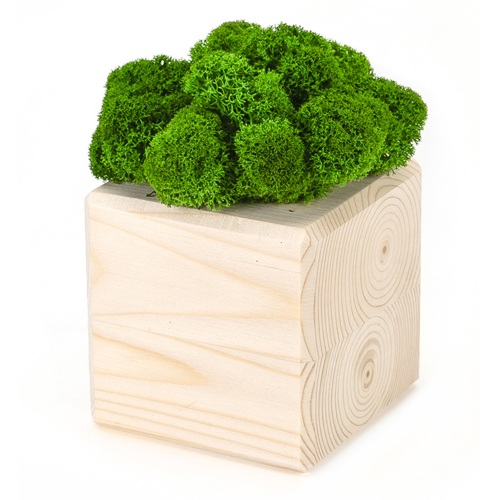 Изображение товара Композиция "Мох в интерьере MossCube" дерево, зеленый