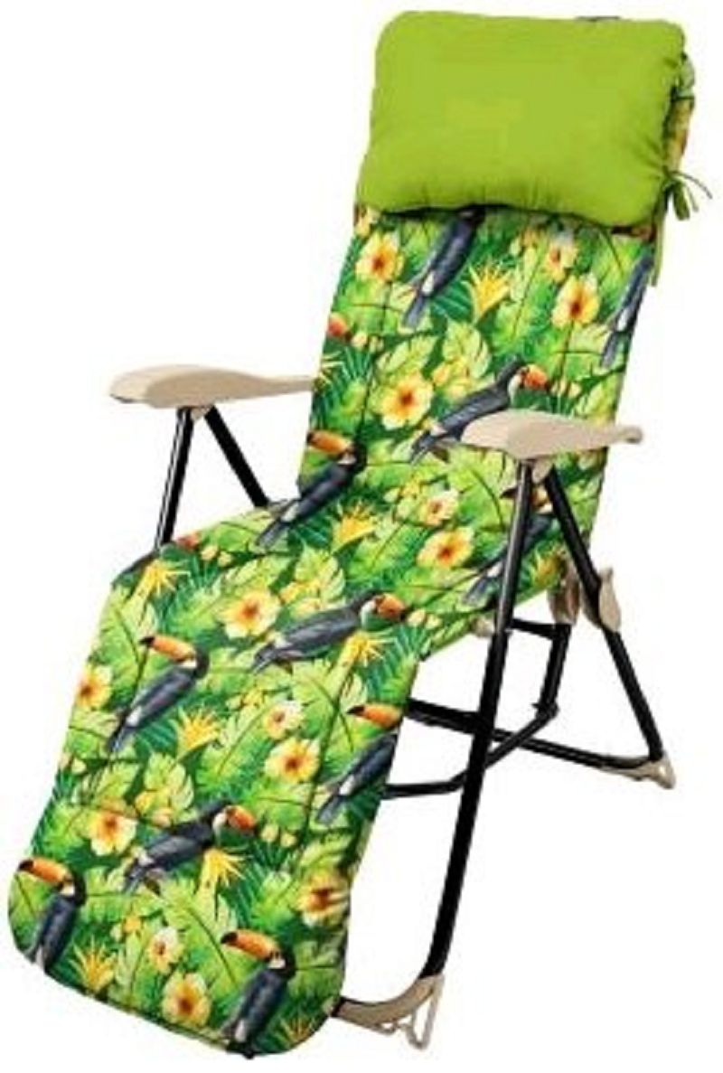 Изображение товара Кресло-шезлонг НИКА HHK5/T с подножкой и матрасом