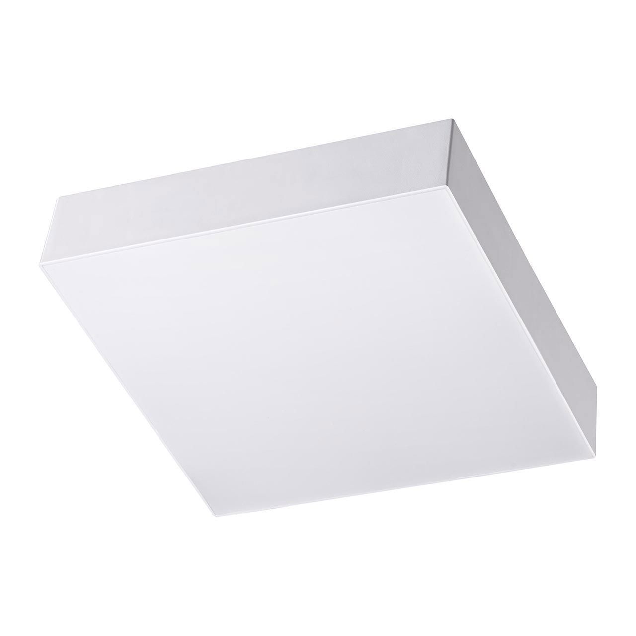 Изображение товара Настенно-потолочный светодиодный светильник Novotech Ornate 358111 белый