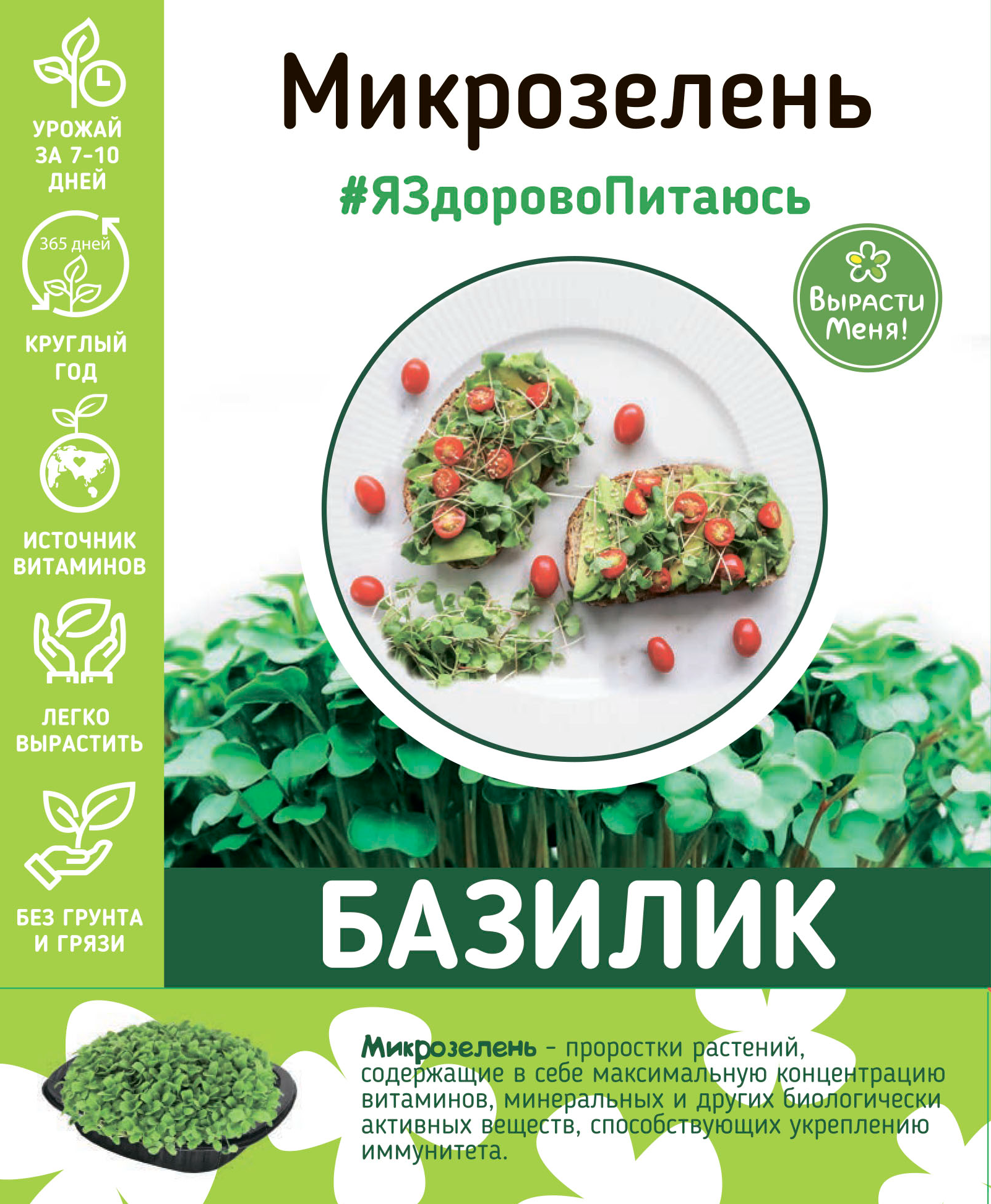 Изображение товара Набор для микрозелени базилика AGRONI Тонус