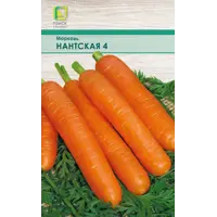 Изображение товара Морковь Нантская 4 лента 8 м