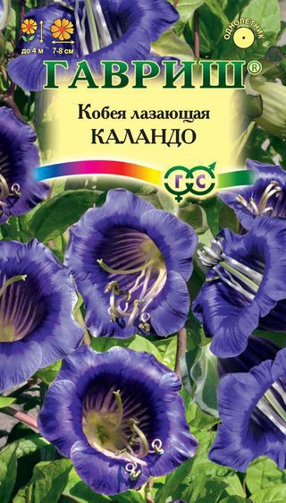 Изображение товара Кобея лазящая Каландо 5 шт. Изображение товара Кобея лазящая Каландо 5 шт.
