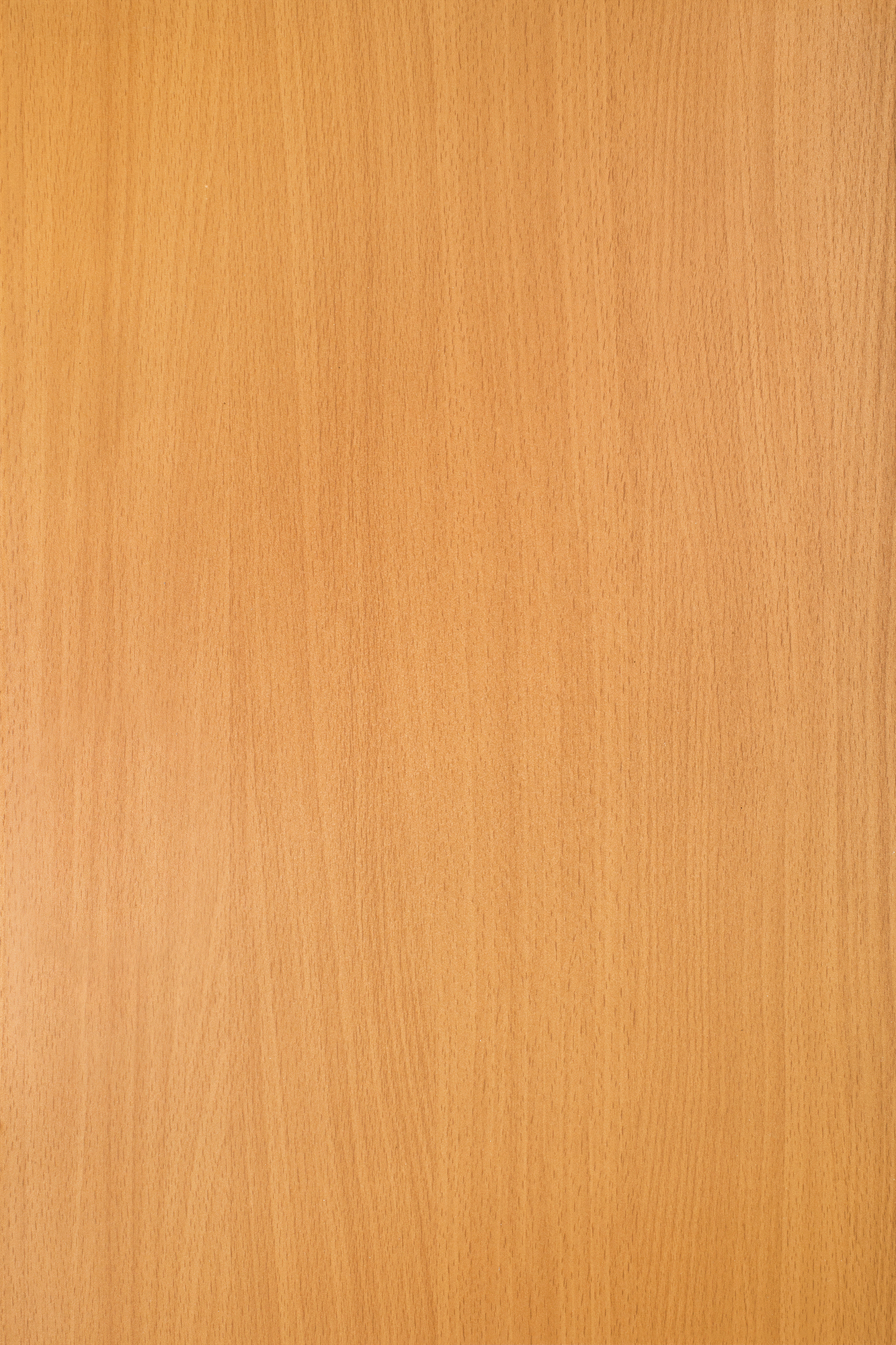 Изображение товара Панель МДФ бук 2070х930х3 мм 1.93 м²