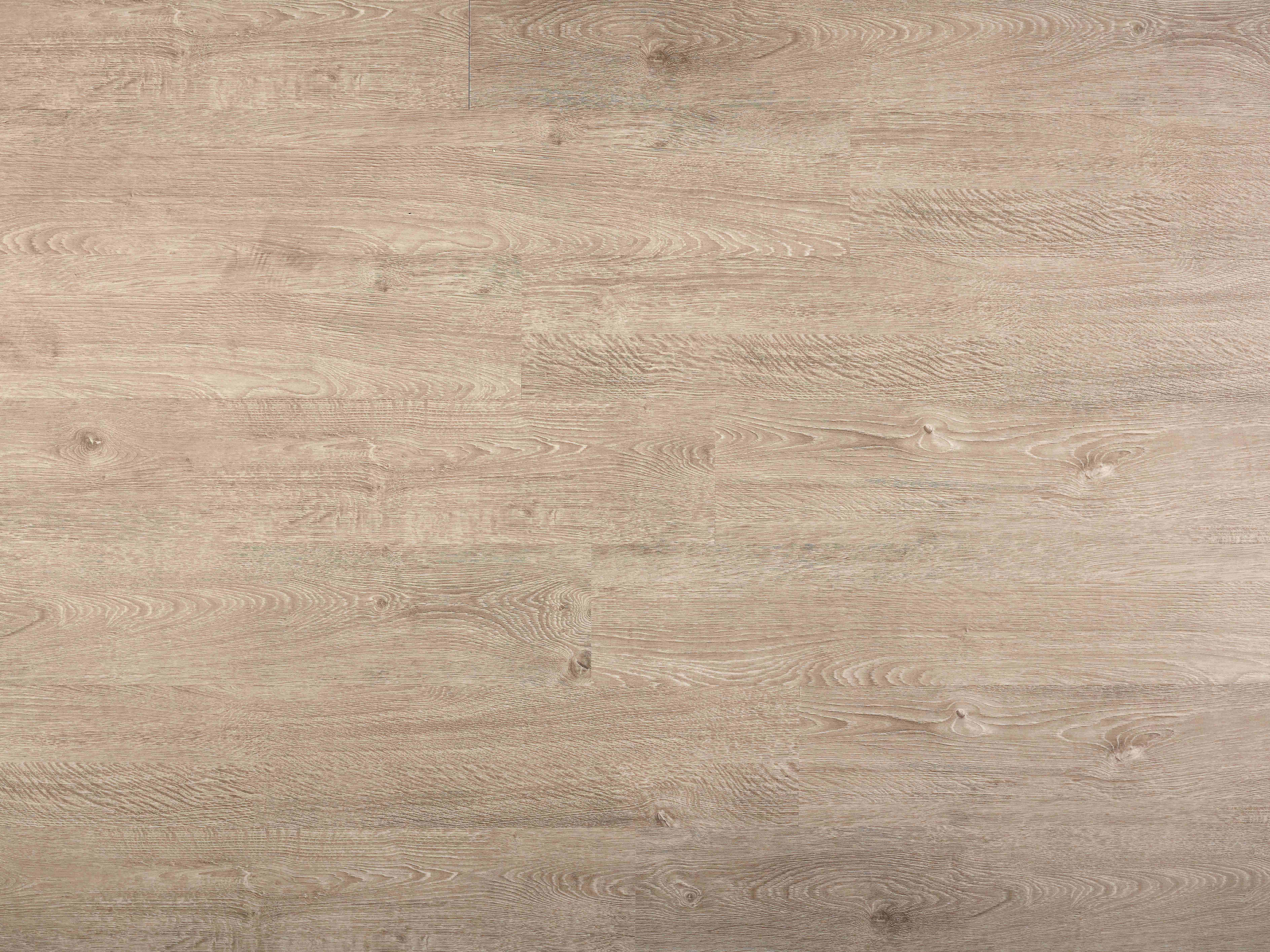 Изображение товара Ламинат Paradise Forest R-06 Аляска 33 класс толщина 8 с фаской 2.41 м²