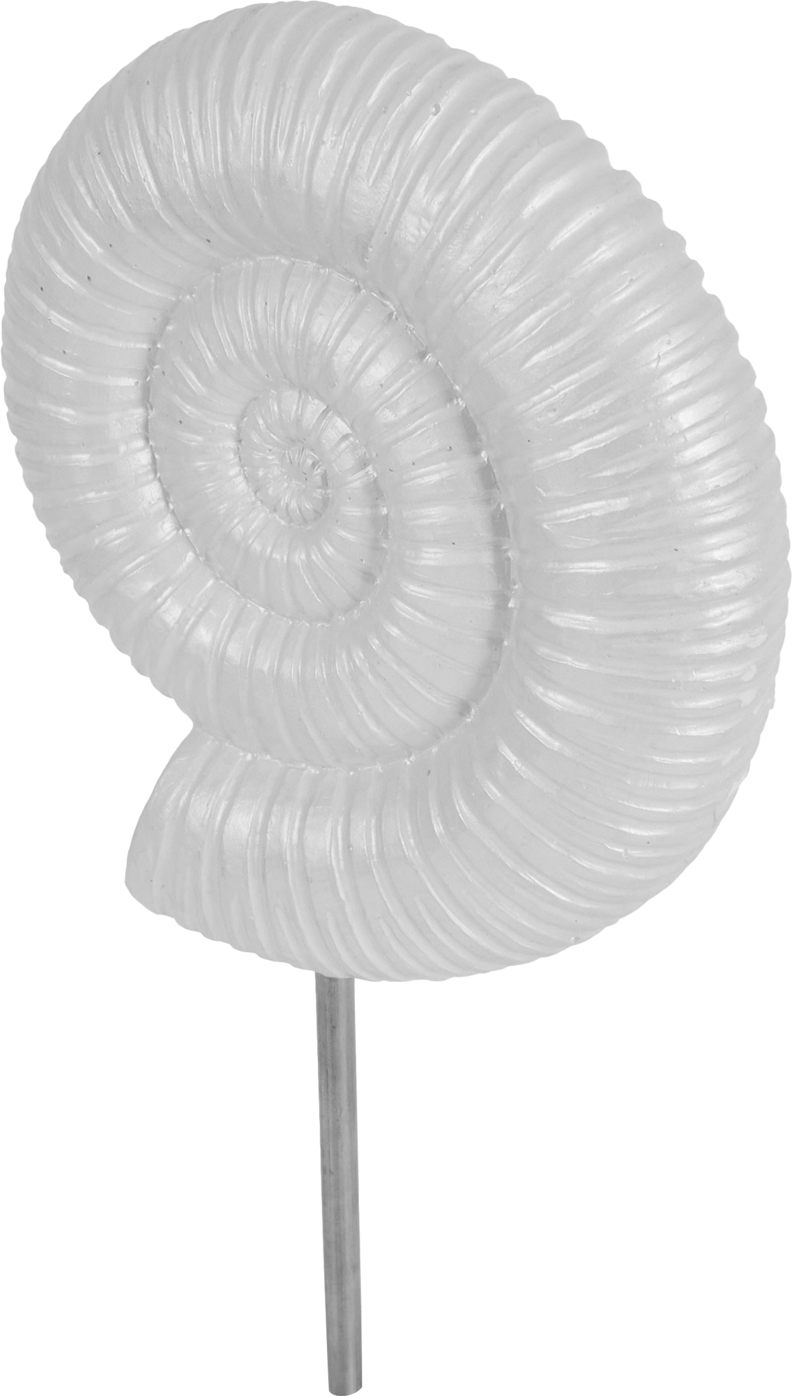 Изображение товара Ракушка на подставке — декоративная фигура EVIS