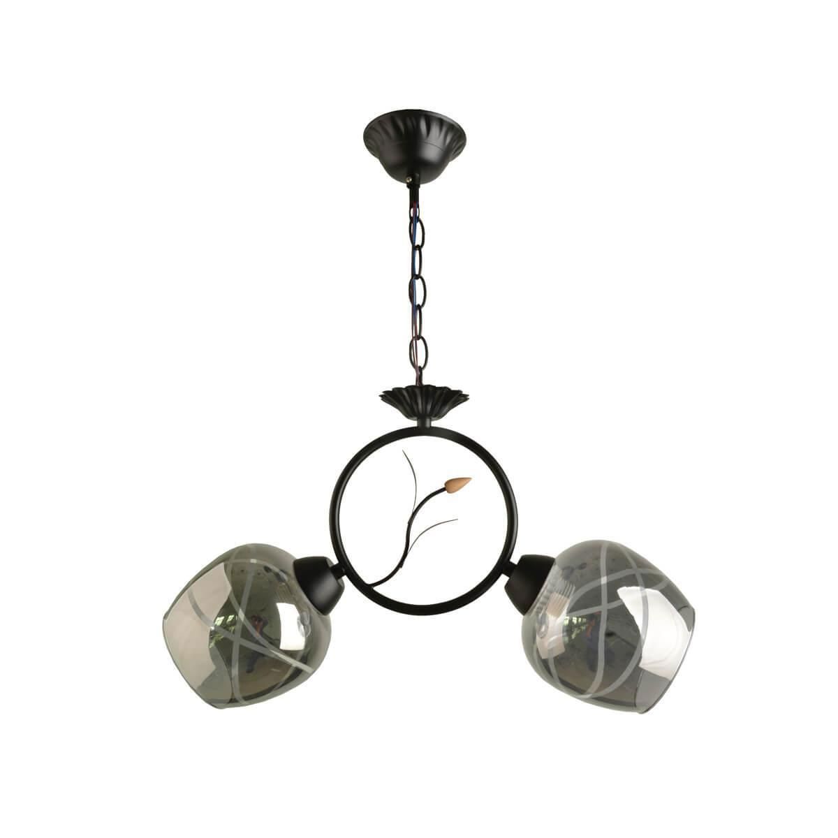 Изображение товара Подвесной светодиодный светильник HIPER H173-1 ZOLLA 2 лампы черный