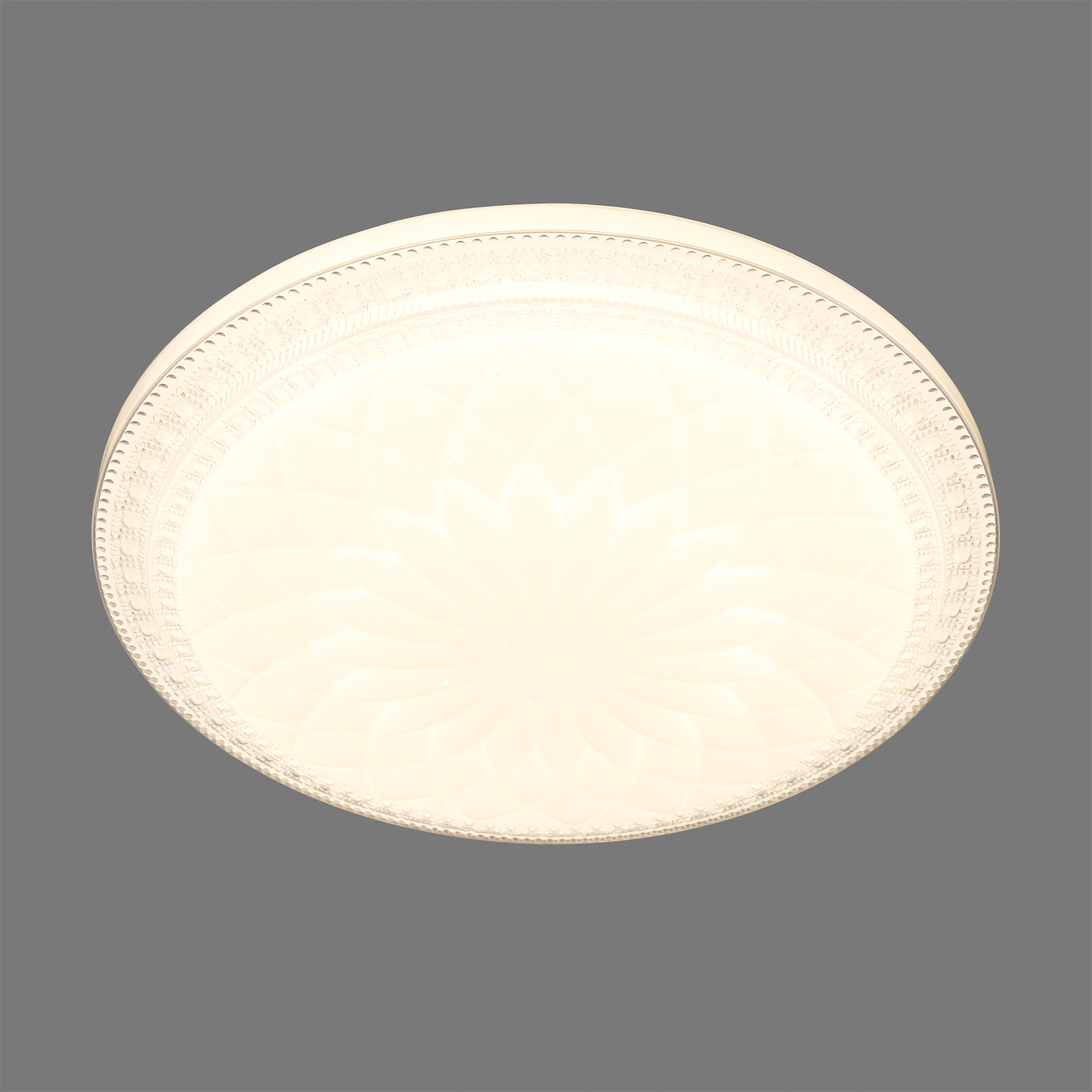 Изображение товара Светильник настенно-потолочный светодиодный Degira 2082/EL с пультом управления