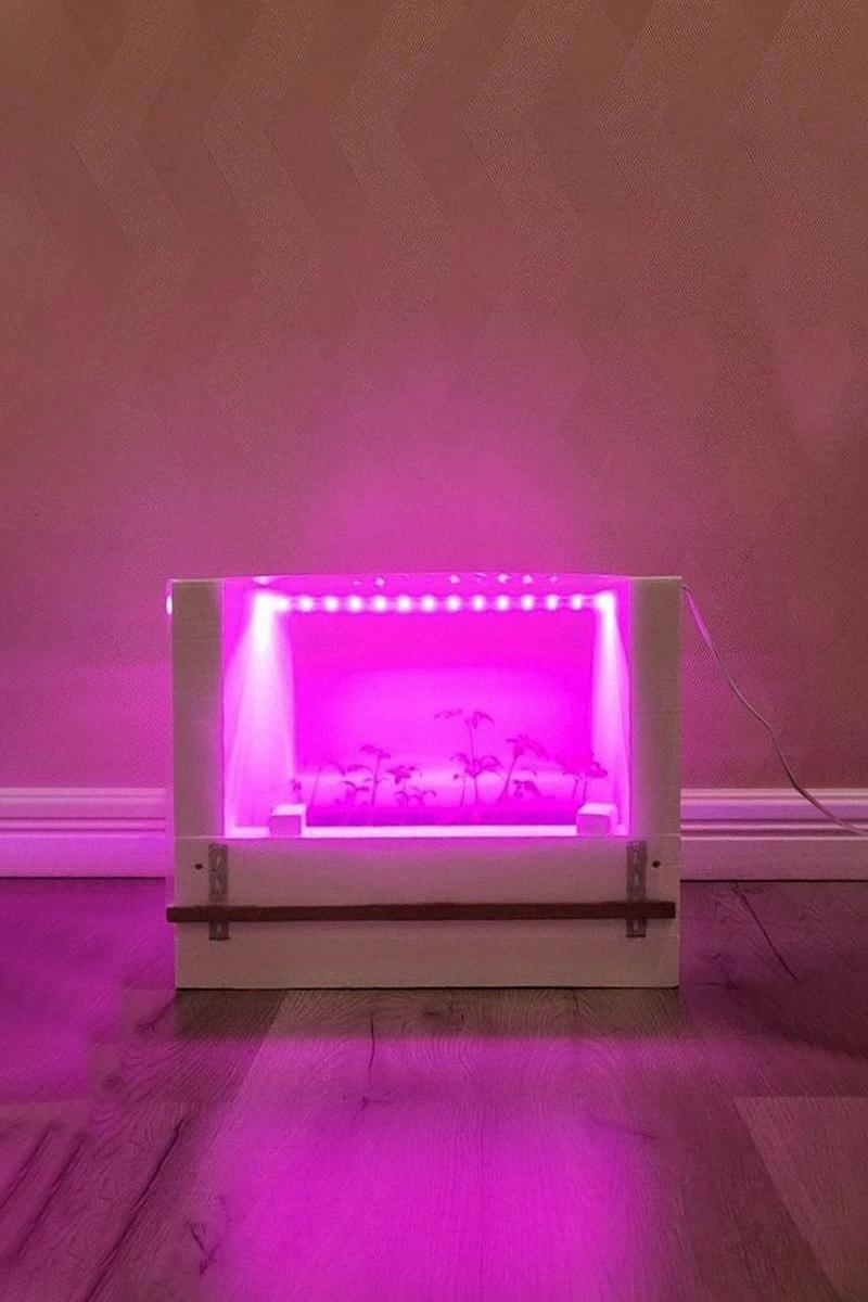 Изображение товара Парник для рассады Facade Decor П0002 разборный 50x40x35см