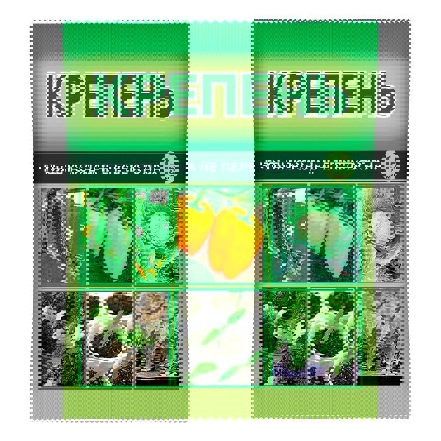 Изображение товара Регулятор роста Ваше Хозяйство Крепень ампула 15 мл