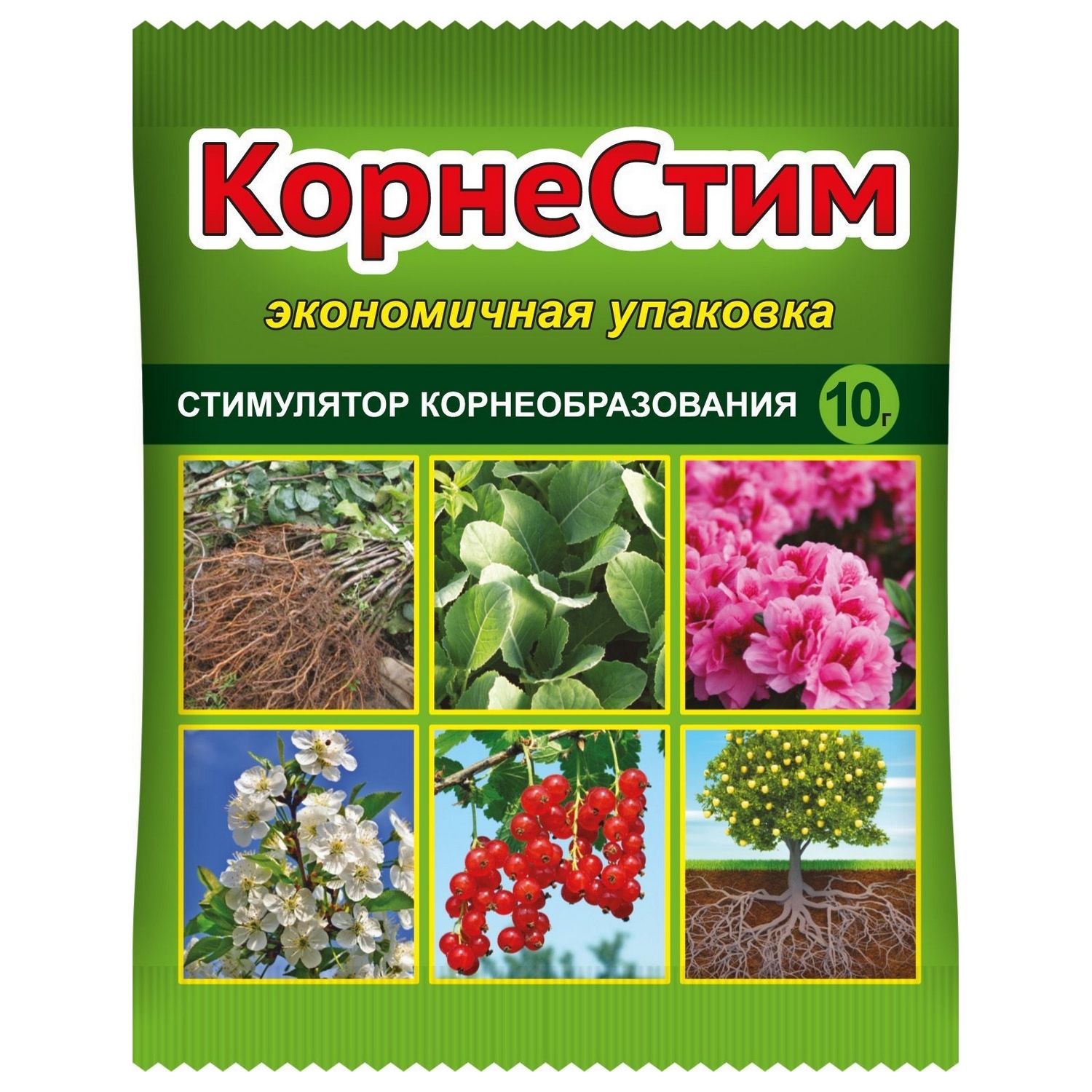 Изображение товара Стимулятор роста и корнеобразования Ваше Хозяйство КорнеСтим 10г
