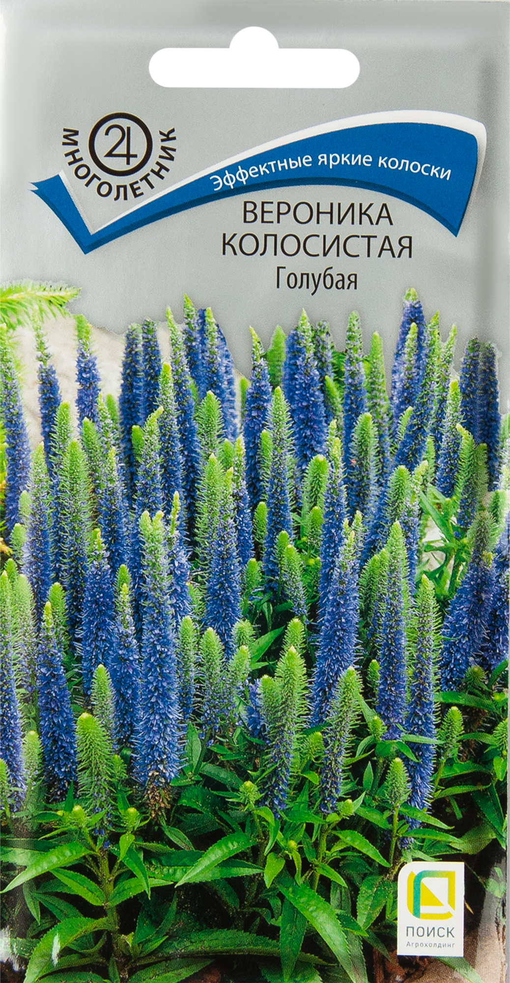 Изображение товара Вероника колосистая Голубая 0.1 г