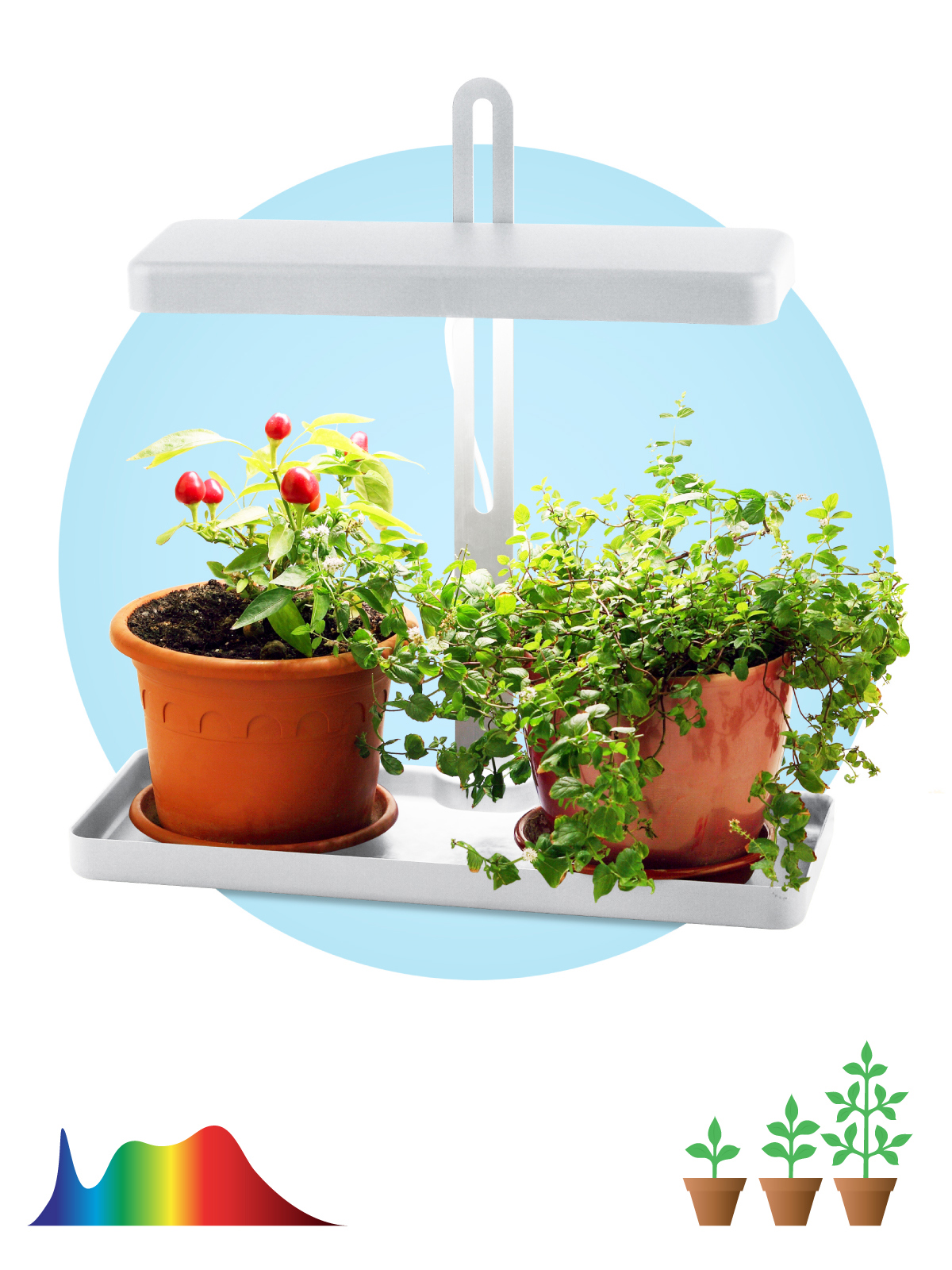 Изображение товара Фитосветильник ЭРА FITO-20W-QLED-W 25547 20 Вт полного спектра