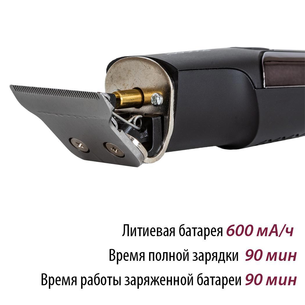 Изображение товара Триммер для бороды и усов Pioneer HC62RS с 3 насадками черный