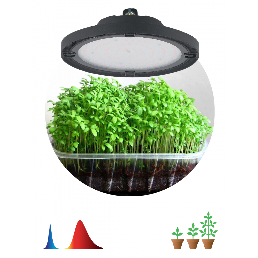Изображение товара ЭРА FITO 50W RB LED UFO фитосветильник красно-синий для рассады и теплиц