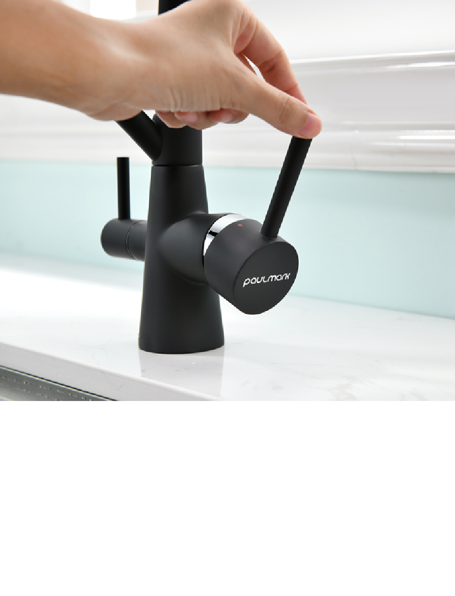 Изображение товара Однорычажный смеситель Paulmark Si213111-401tb излив 42 см цвет черный Изображение товара Однорычажный смеситель Paulmark Si213111-401tb излив 42 см цвет черный
