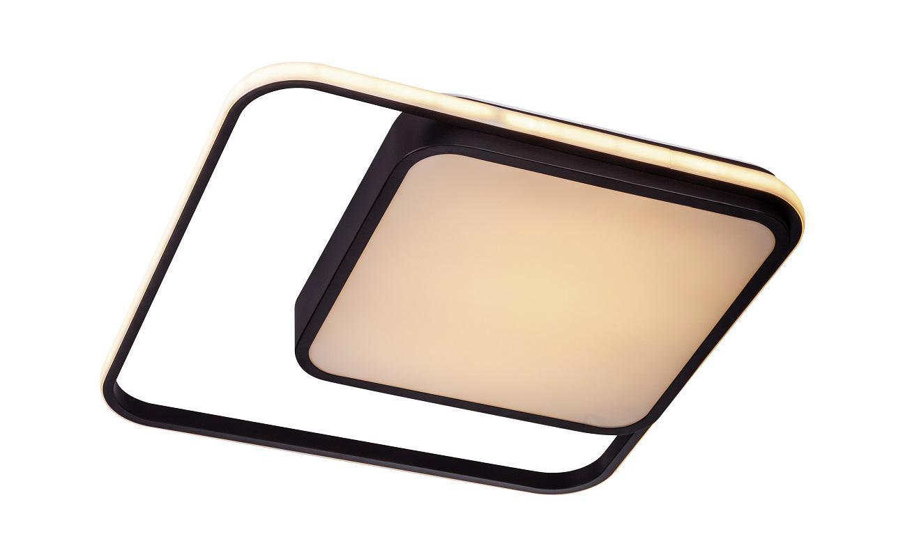 Изображение товара Светильник потолочный светодиодный ESCADA 10210/2LED теплый белый свет цвет прозрачный