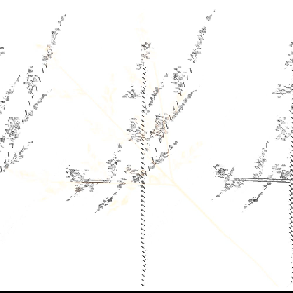 Изображение товара Новогоднее украшение Ветка 0.6x77x23 см цвет золотой
