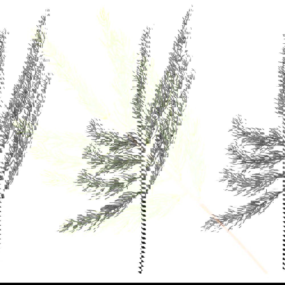 Изображение товара Новогоднее украшение Ветка 6x68x28 см зеленое с глиттером