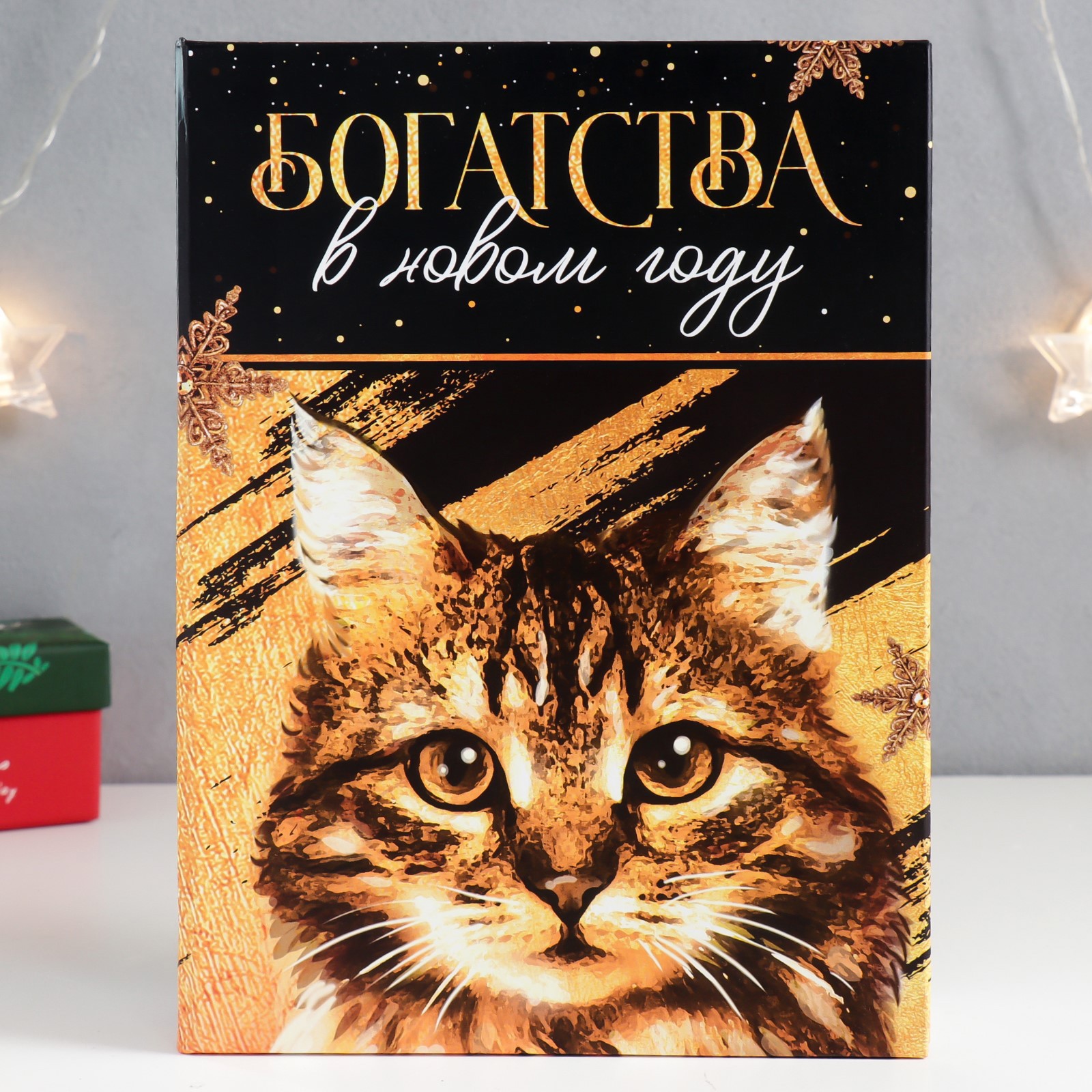 Изображение товара Шкатулка-книга "Кот. Богатства" 17x23 см