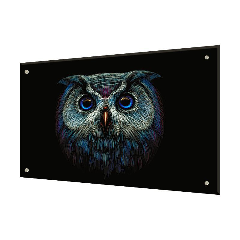 Изображение товара Защитный экран Borntoprint Сова 60x90x0.4 см закаленное стекло цвет черный