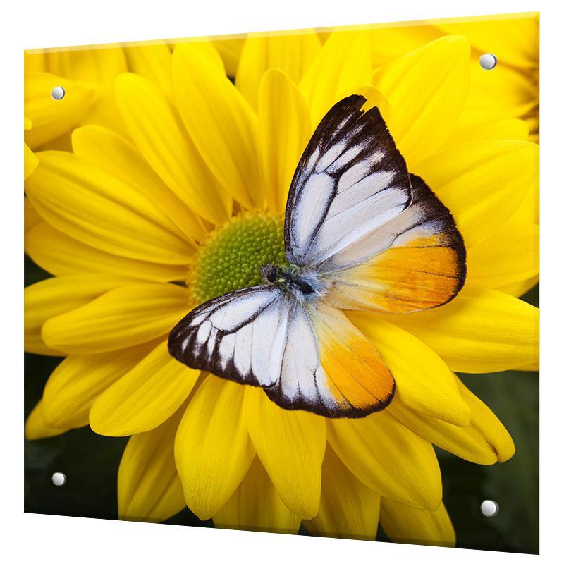 Изображение товара Стеновая панель Borntoprint Бабочка на желтом цветке 60x50x0.4 см закаленное стекло цвет желтый
