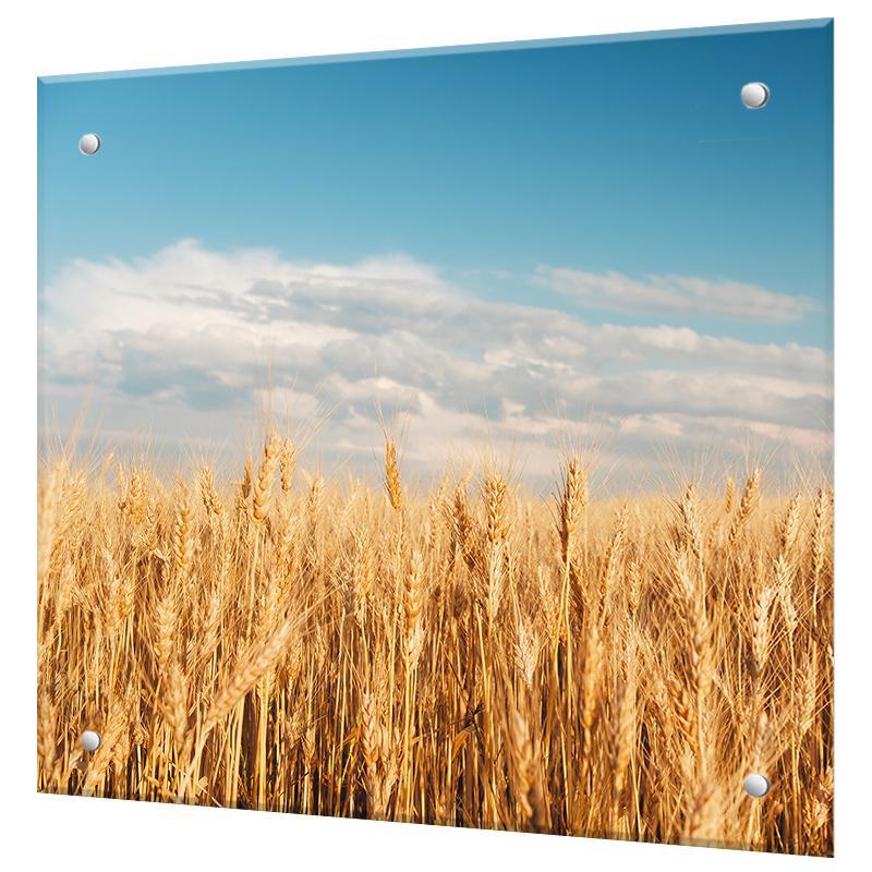 Изображение товара Защитный экран Borntoprint Золотая рожь 50x50 см закаленное стекло