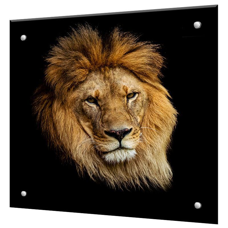 Изображение товара Защитный экран Borntoprint Лев 60x50x0.4 см из закаленного стекла