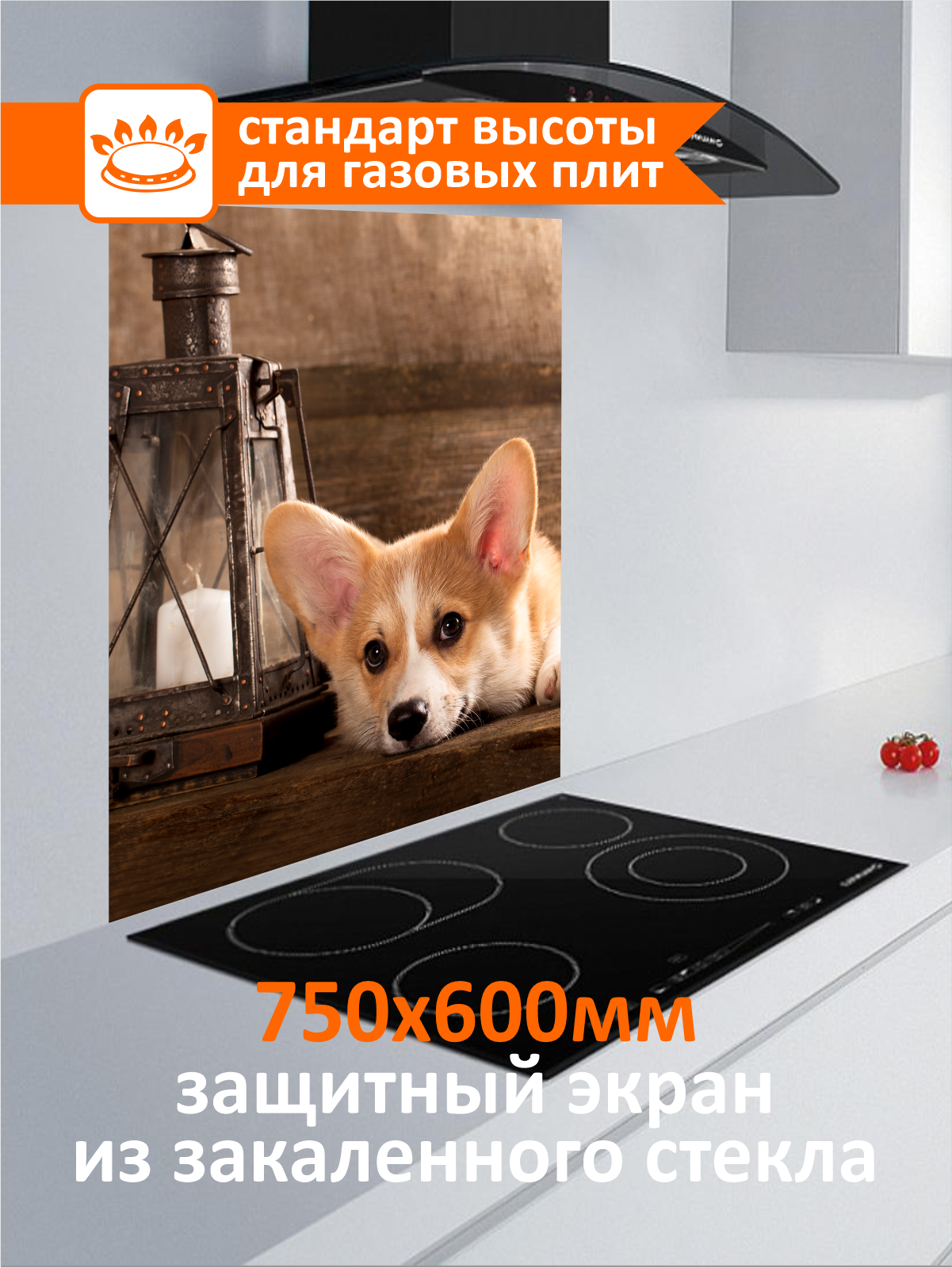 Изображение товара Защитный экран Borntoprint Пёс 60x75x0.4 см закаленное стекло цвет прозрачный