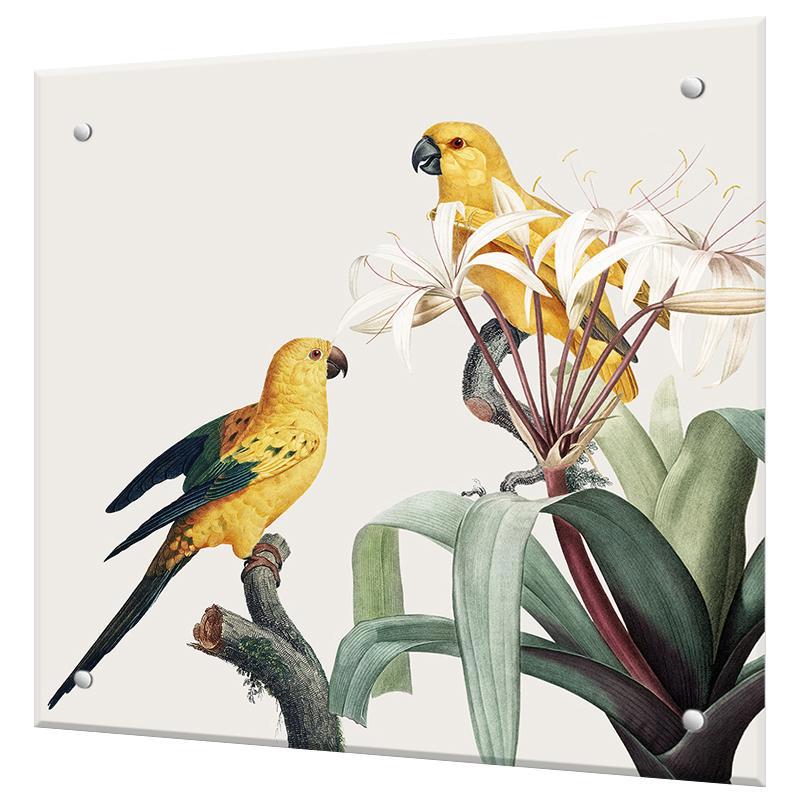 Изображение товара Защитный экран Borntoprint Попугаи 60x50x0.4 см закаленное стекло цвет прозрачный