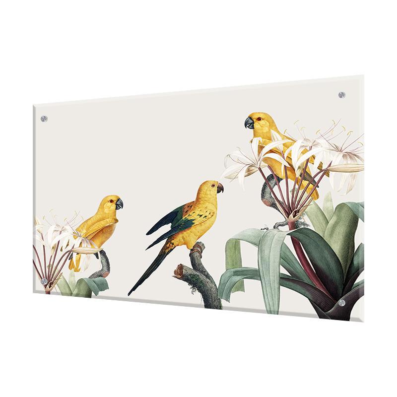 Изображение товара Защитный экран Borntoprint Попугаи из закаленного стекла 60x90 см