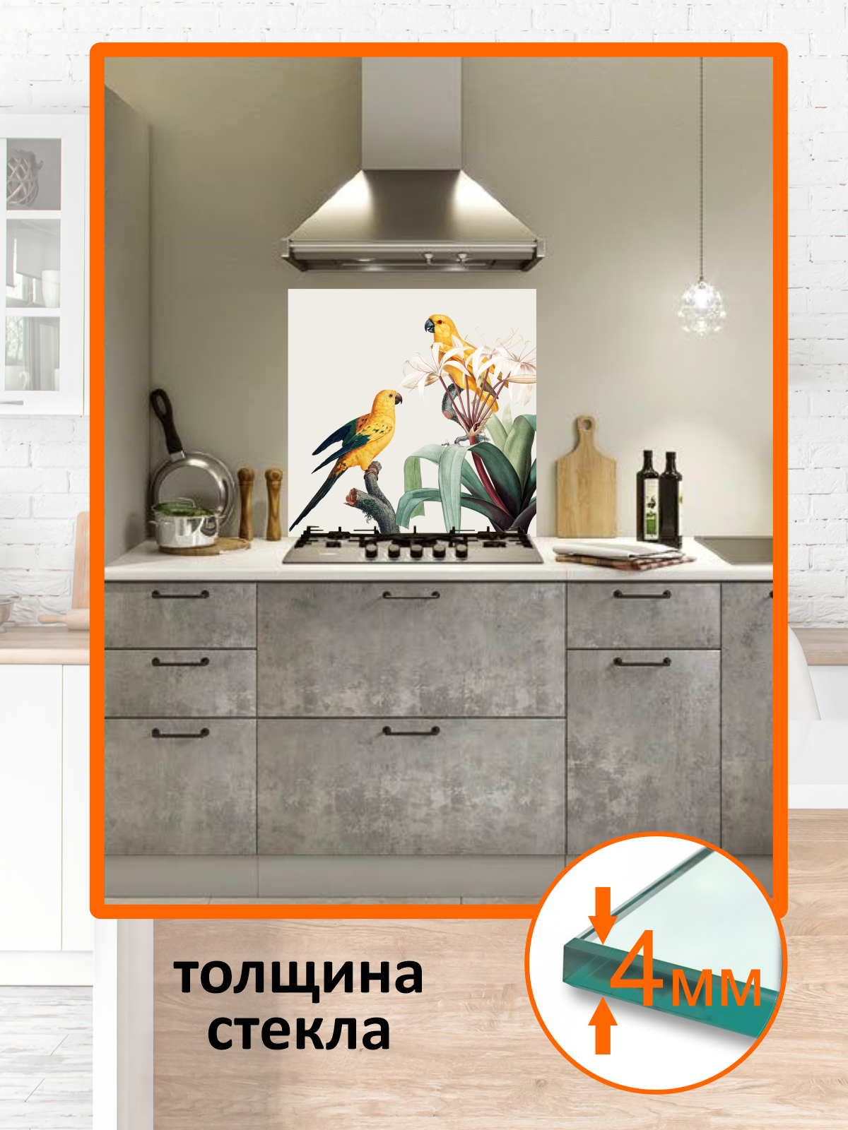 Изображение товара Защитный экран Borntoprint Попугаи 60x60x0.4 см закаленное стекло цвет прозрачный