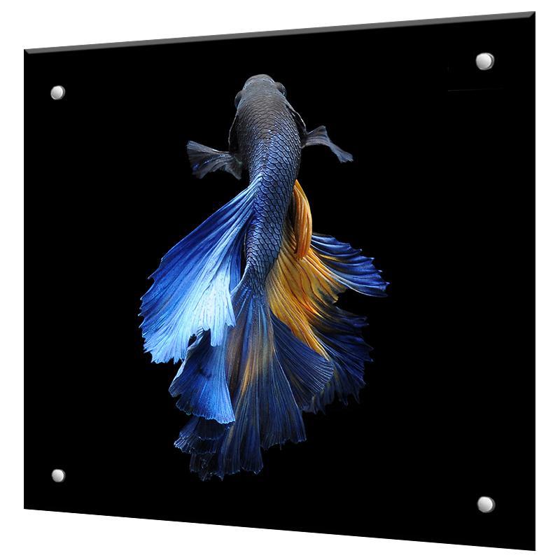 Изображение товара Стеновая панель Borntoprint Рыбка на черном фоне 60x50 см закаленное стекло