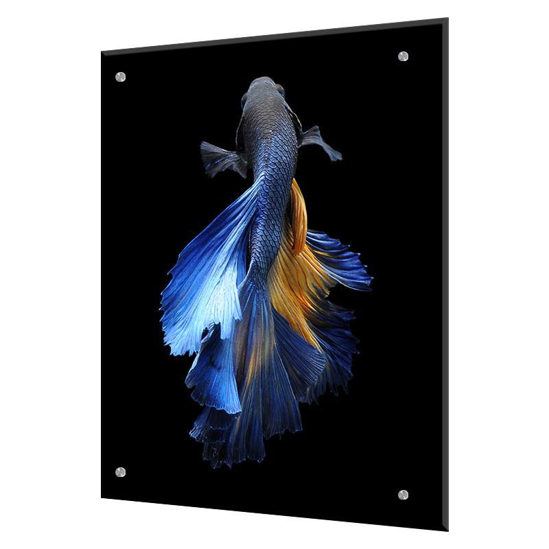 Изображение товара Стеновая панель Borntoprint Рыбка на черном фоне 60x75 см из закаленного стекла