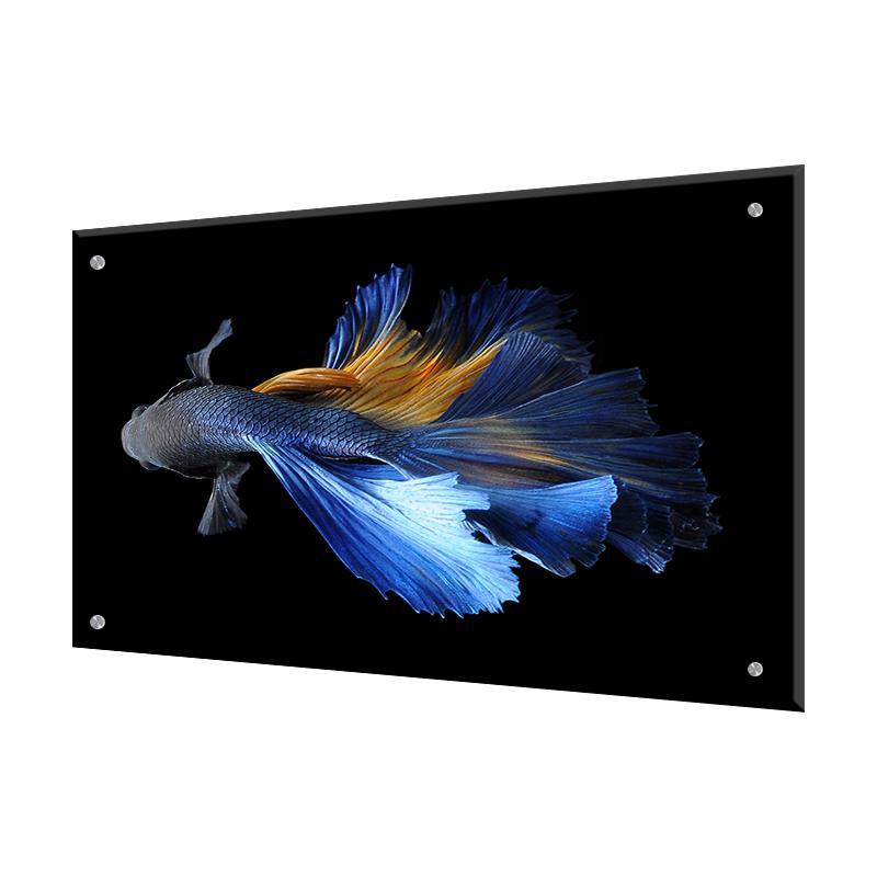 Изображение товара Стеновая панель Borntoprint Рыбка на черном фоне 60x90 см из закаленного стекла