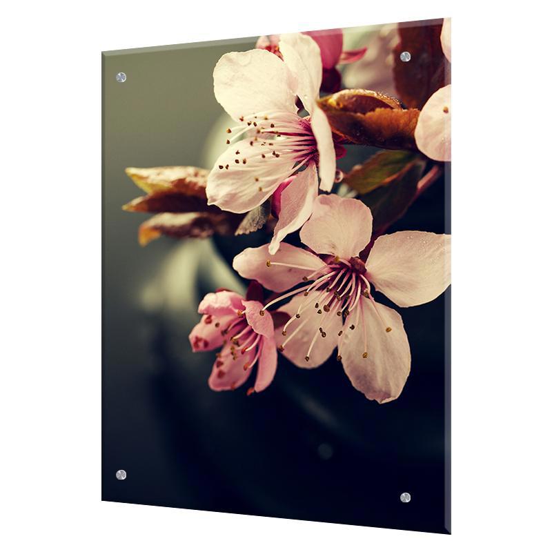 Изображение товара Защитный экран Borntoprint Цветы на камне 60x75x0.4 см закаленное стекло цвет прозрачный