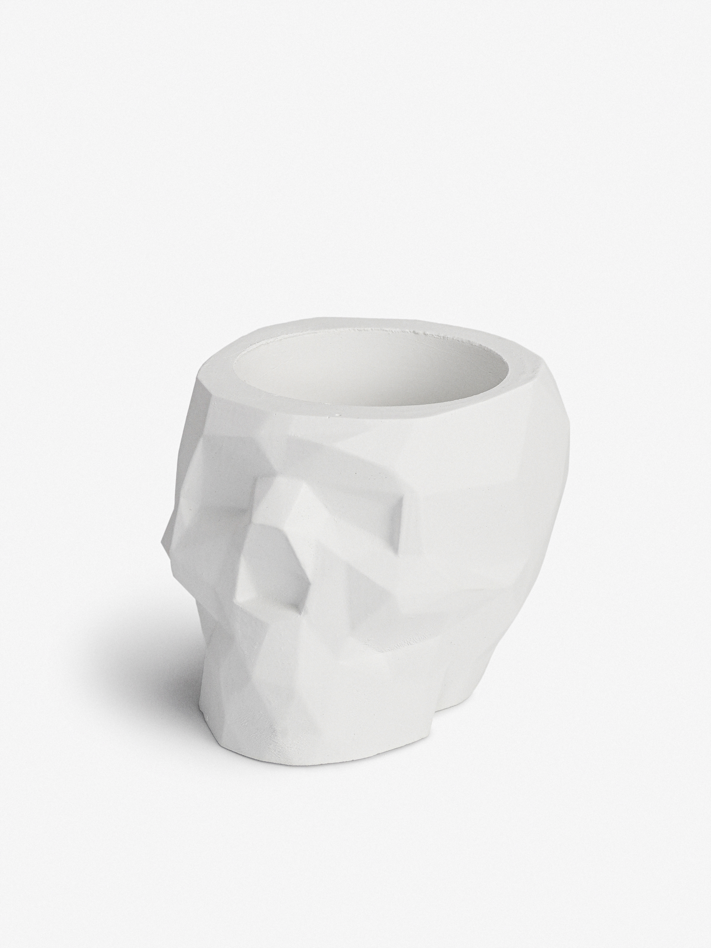 Изображение товара Кашпо Villermo "Череп mini" для суккулентов, гипс