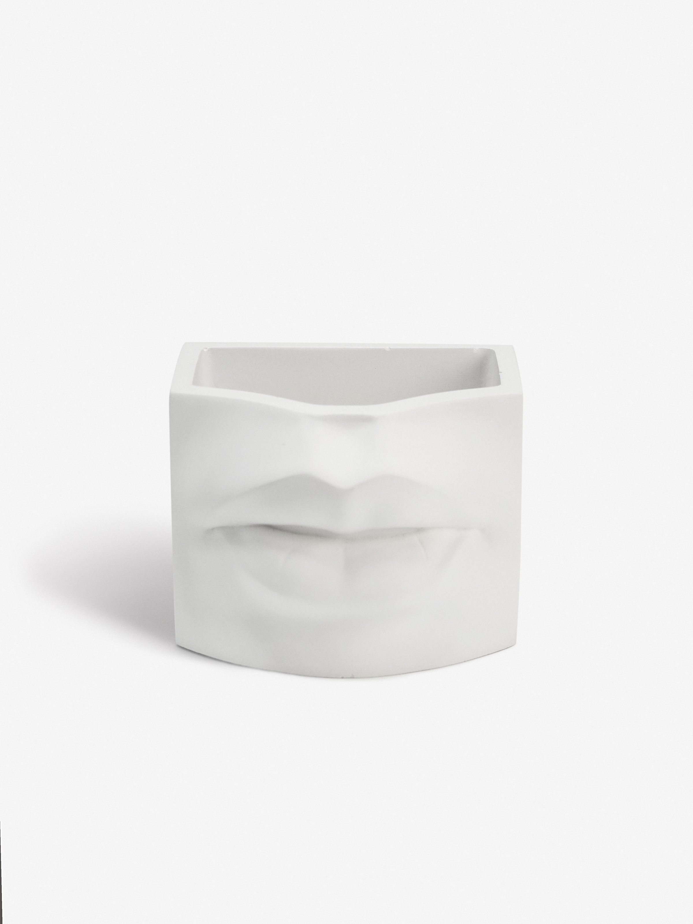 Изображение товара Кашпо Villermo "Губы" для суккулентов, гипс