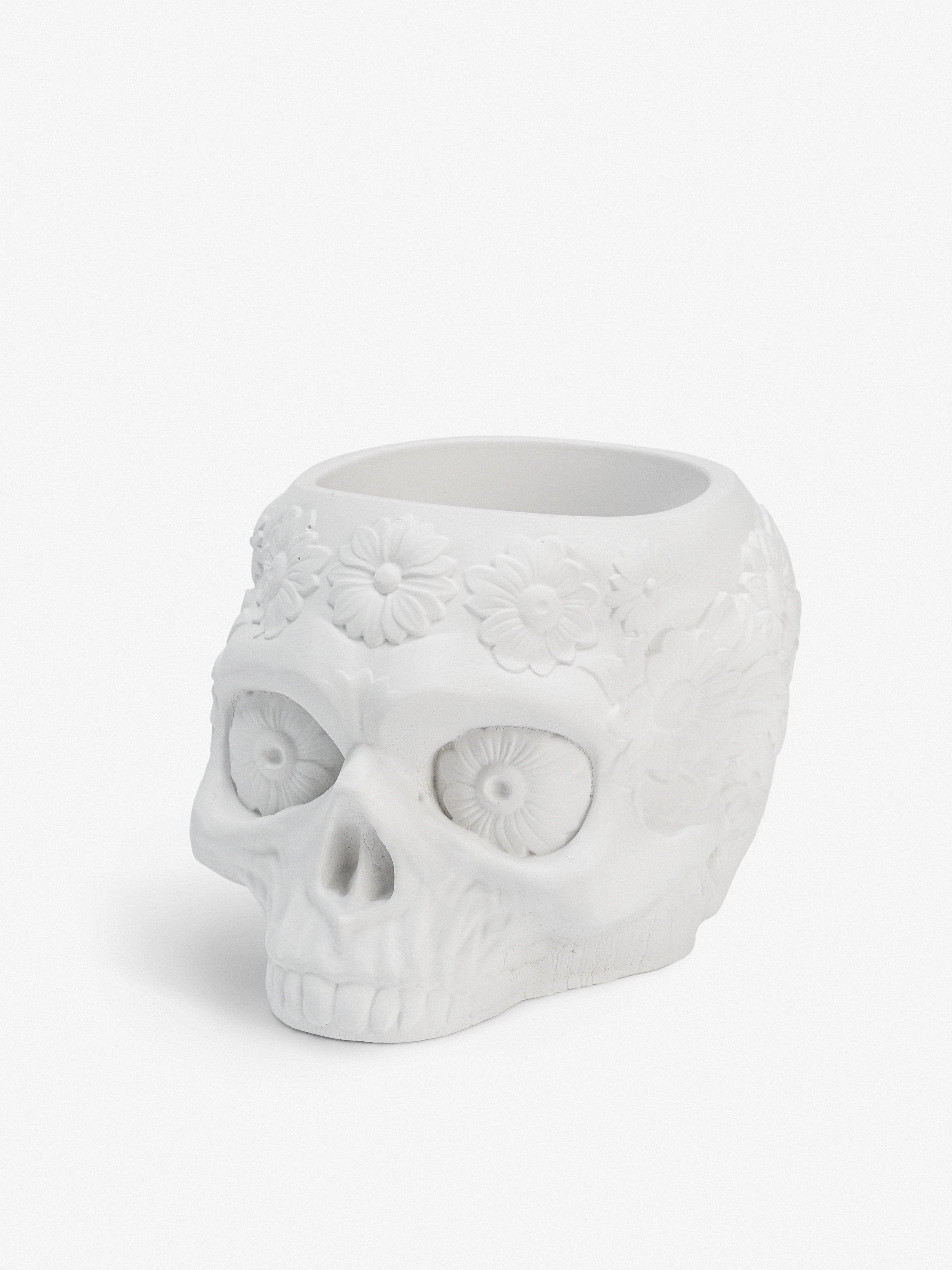 Изображение товара Кашпо Villermo "Череп с цветами" для суккулентов, гипс