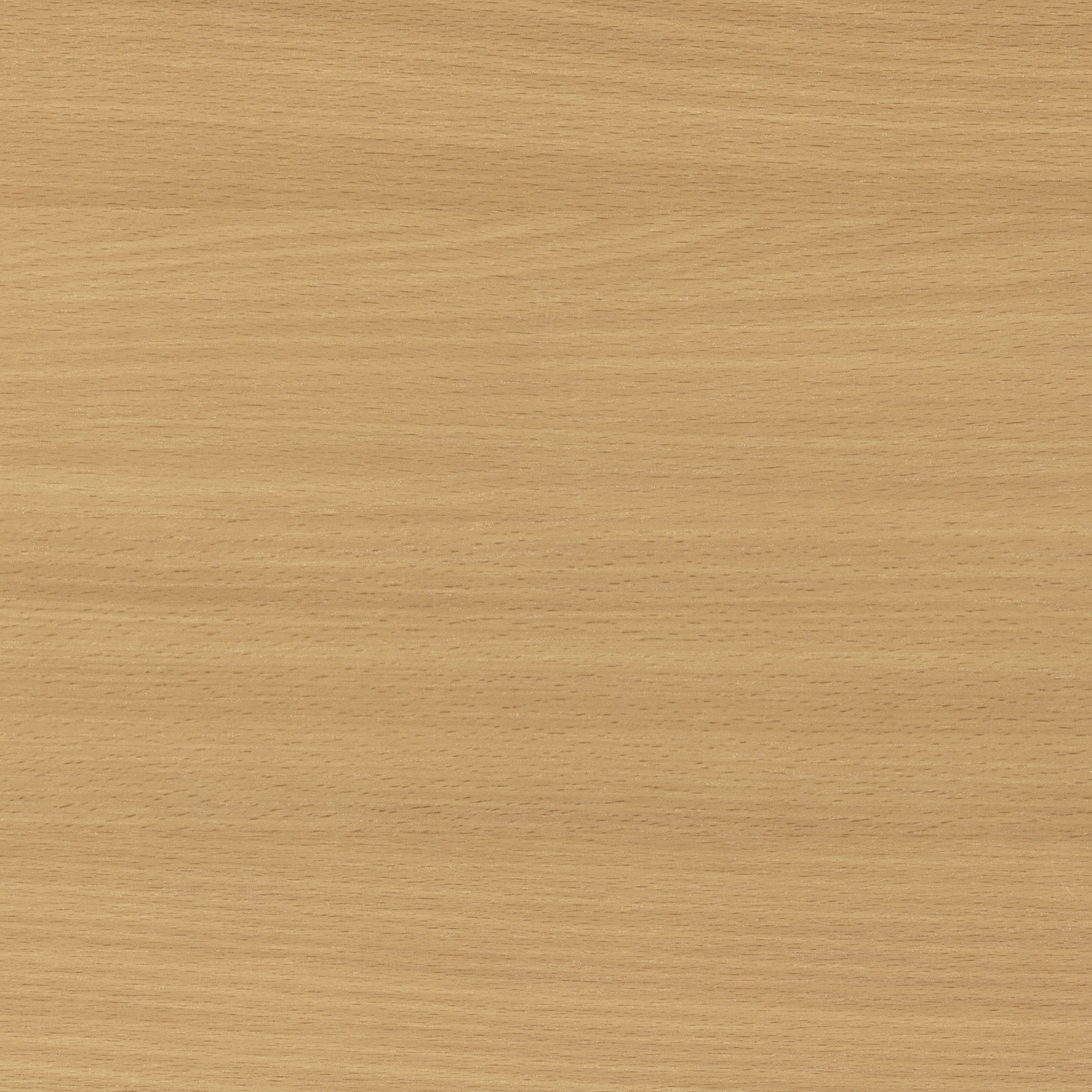 Изображение товара Мебельный щит ЛДСП KRONOSTAR бук 1500х500х16 мм ламинированный