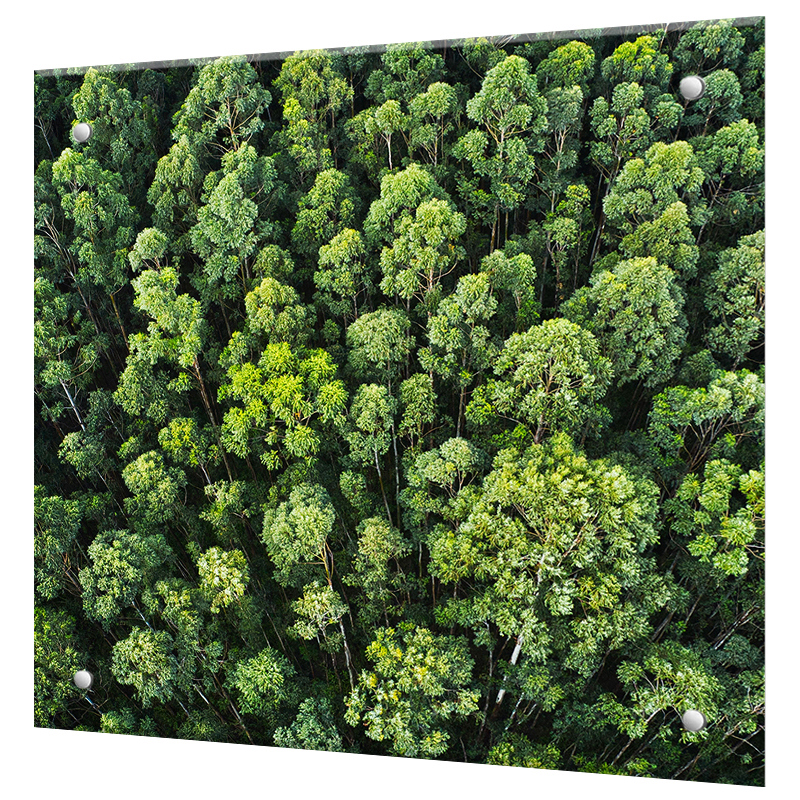 Изображение товара Защитный экран Borntoprint Лес 50x50x0.4 см закаленное стекло цвет прозрачный