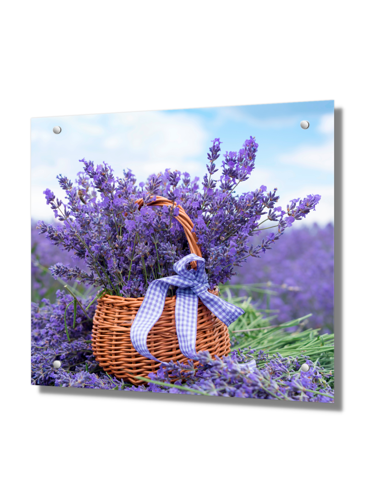 Изображение товара Защитный экран из закаленного стекла Горная Лаванда 60x60x0.4 см