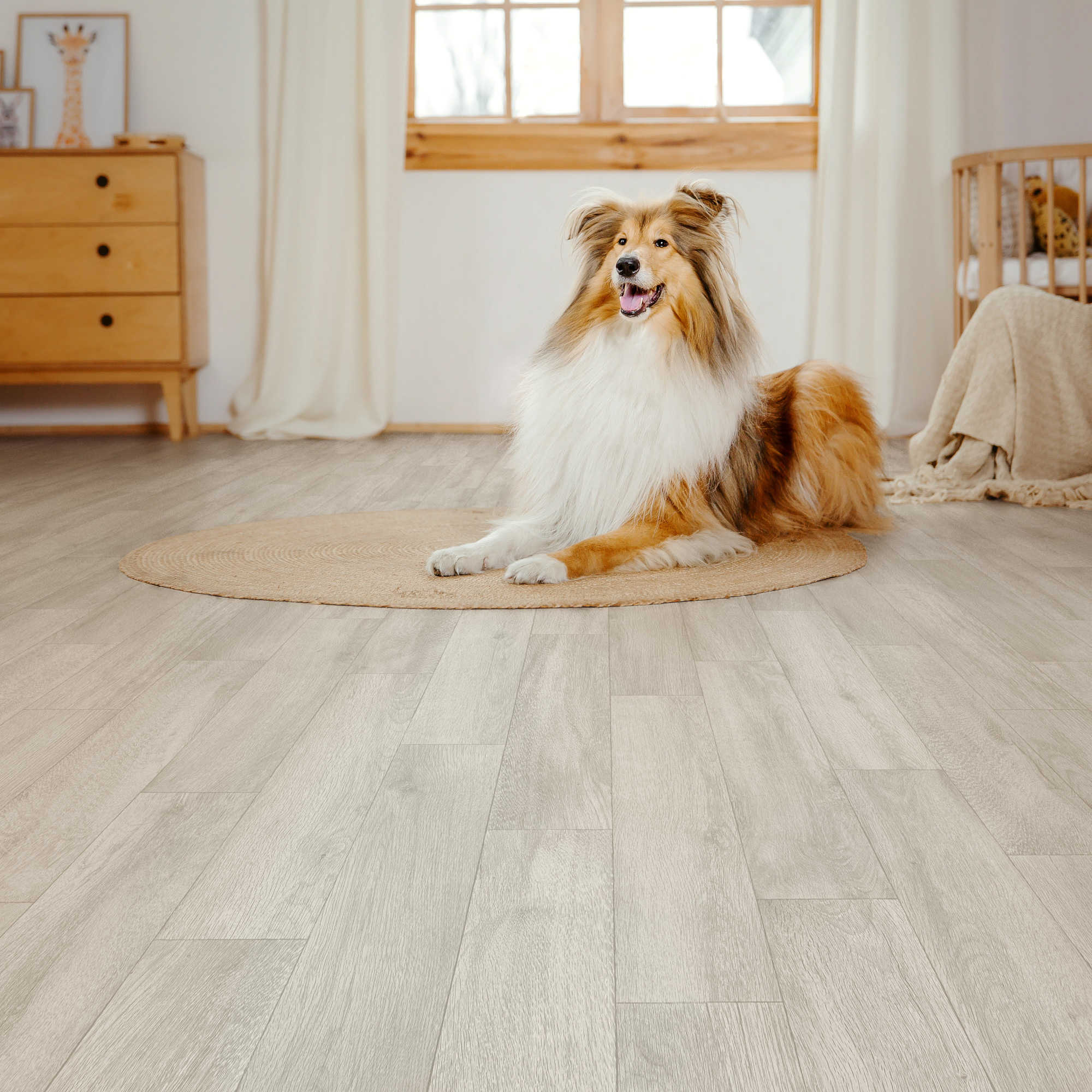 Изображение товара Линолеум Дуб Бланш 22 класс 2.5 м структурированный имитация дерева