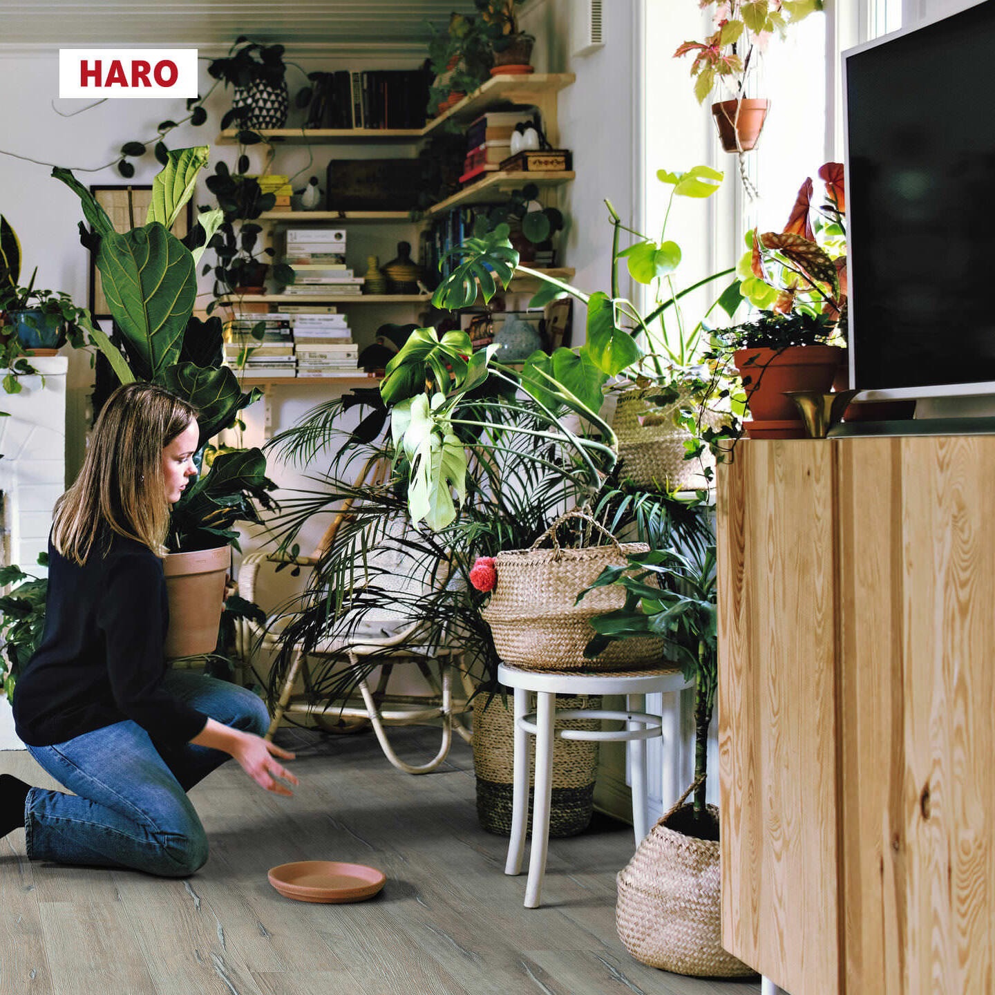 Изображение товара Ламинат Haro Дуб Скандинавия 32 класс 8 мм фаска 1.38 м2