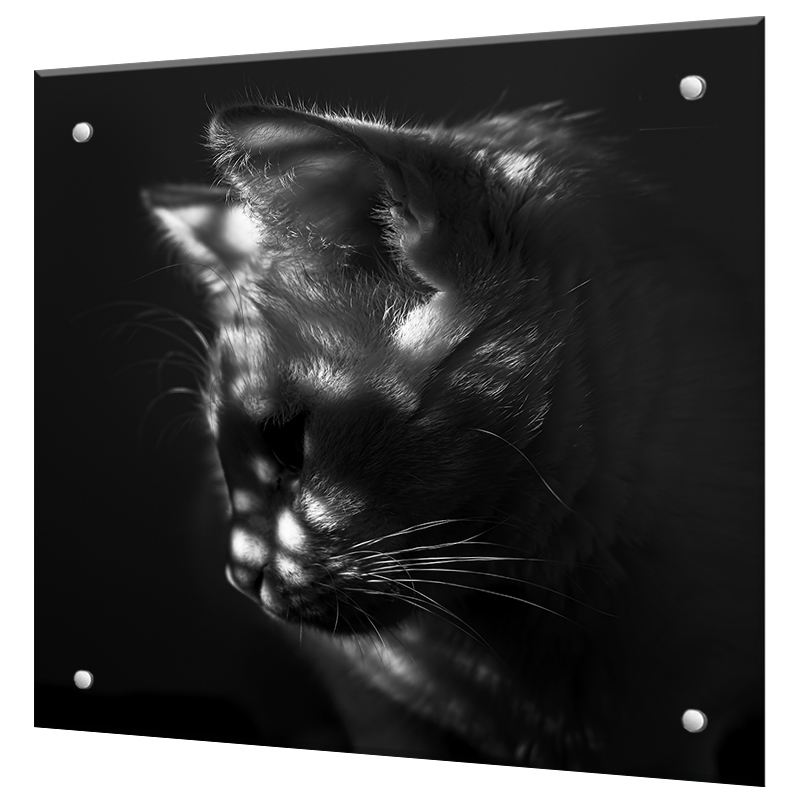 Изображение товара Защитный экран Borntoprint Кот 55x60 см закаленное стекло прозрачный