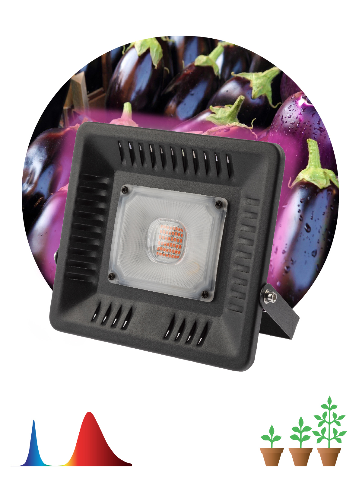 Изображение товара Фитопрожектор ЭРА FITO-50W-LED BLUERED